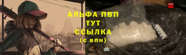 крисы Белокуриха