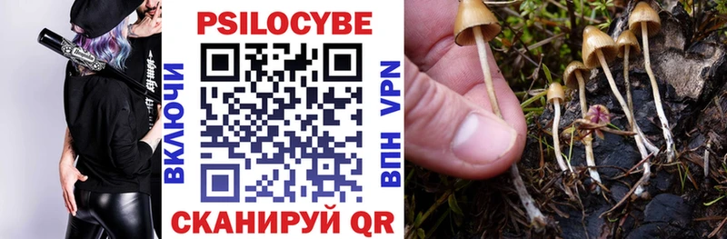 Псилоцибиновые грибы Cubensis  Губаха 